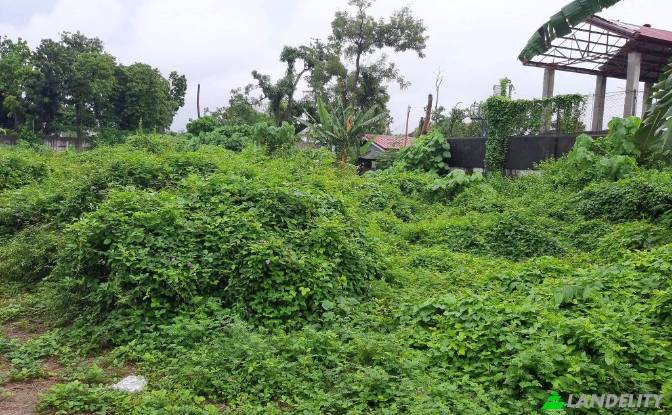 Земля/Ділянка продаж Lapu-Lapu City, Cebu. Фото#7