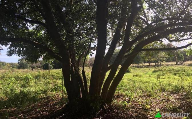 Ziemia/działka na sprzedaż - Santo Domingo, Panama
