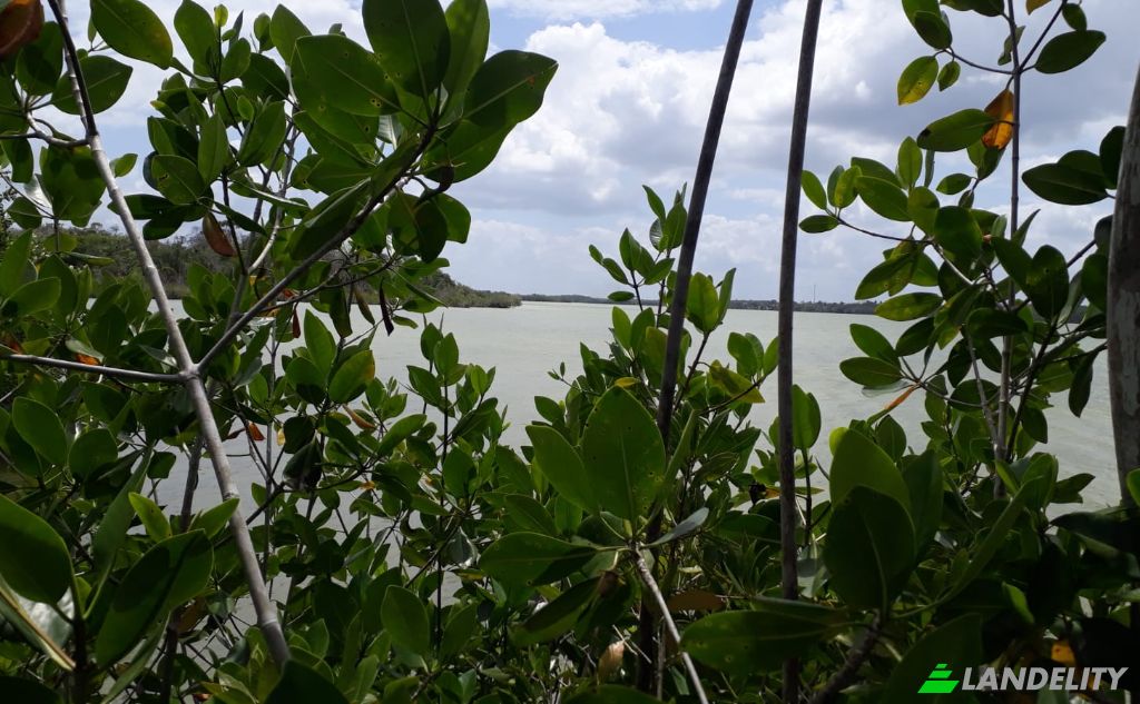 Land/Lot for Sale Chunox Road, Progresso, Corozal District, Belize. Photo 1