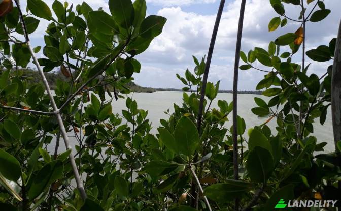 Land/Lot for Sale - Progresso, Belize