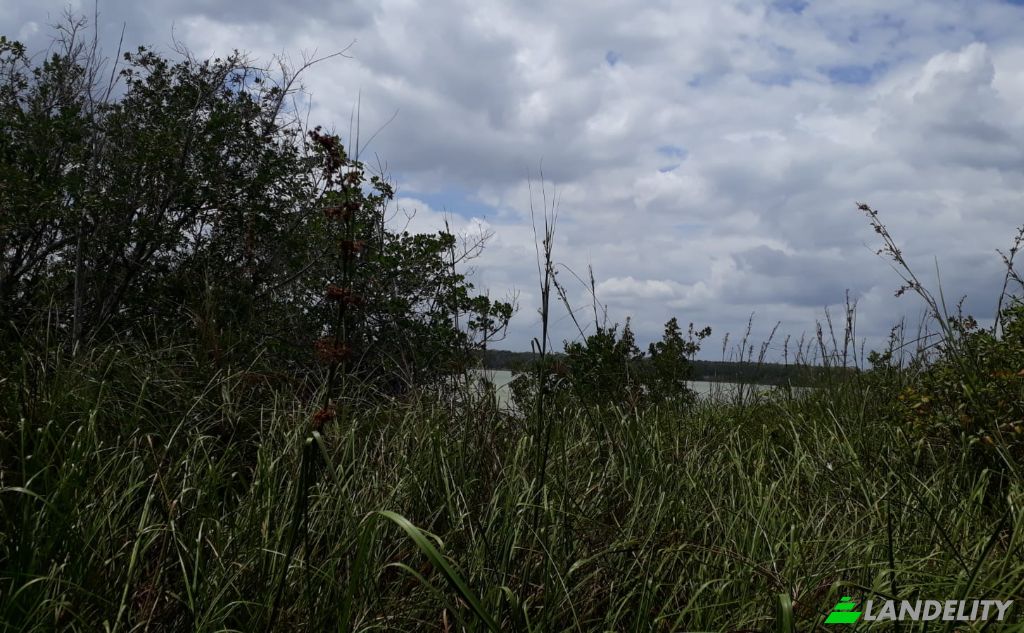 Land/Lot for Sale Chunox Road, Progresso, Corozal District, Belize. Photo 2