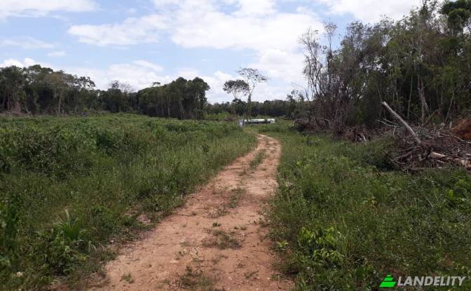 Land/Lot for Sale Chunox Road, Progresso. Photo#3 Land/Lot for Sale Chunox Road, Progresso. Photo#3