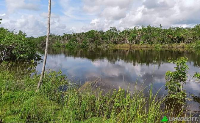 Grundstück zu verkaufen - Chunox, Belize