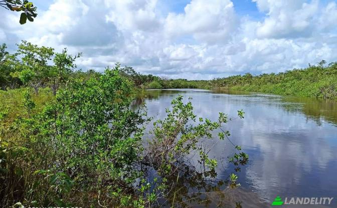 Land/Lot for Sale Chunox Road, Chunox. Photo#2