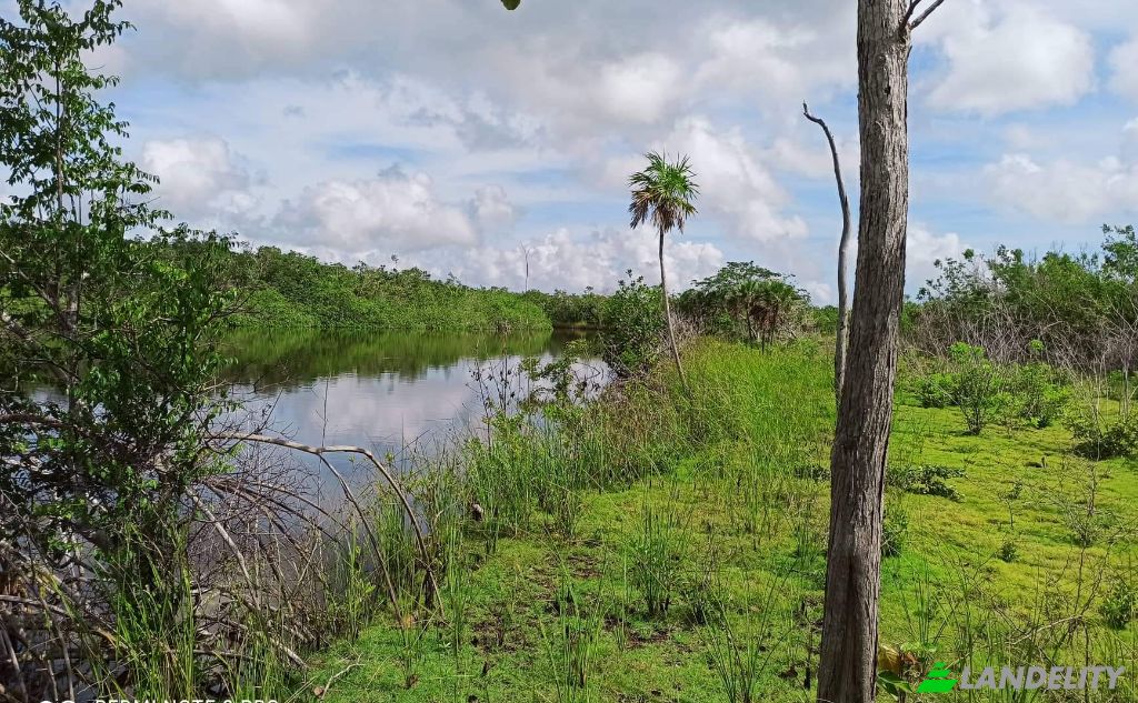 Land/Lot for Sale Chunox Road, Chunox, Corozal District, Belize. Photo 3