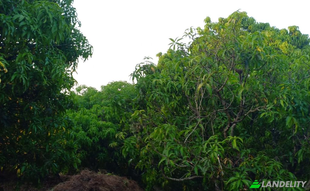 Земля/Ділянка продаж MH SH, Bakale, Konkan Division, Maharashtra, India, Maharashtra 415805. Фото 1