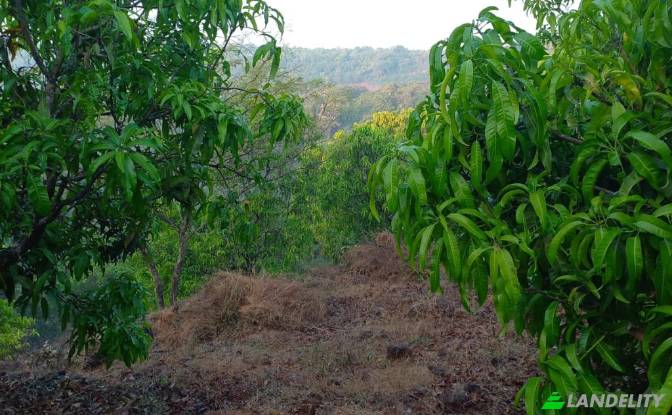 Земля/Ділянка продаж MH SH, Bakale. Фото#3 Земля/Ділянка продаж MH SH, Bakale. Фото#3