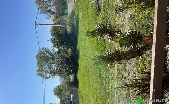 Single Family Home for Sale eimenovani put, Kosic. Photo#11