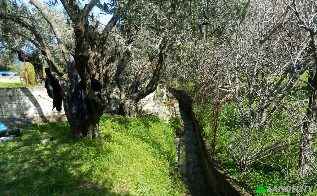 Land/Lot for Sale EparOd Kardamilon-Keramou, Chios, Vlichada, North Aegean Region, Decentralized Administration of the Aegean, Greece. Photo 2