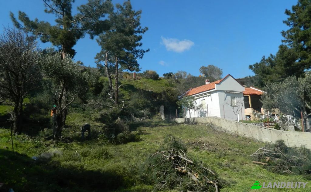 Land/Lot for Sale EparOd Kardamilon-Keramou, Chios, Vlichada, North Aegean Region, Decentralized Administration of the Aegean, Greece. Photo 3