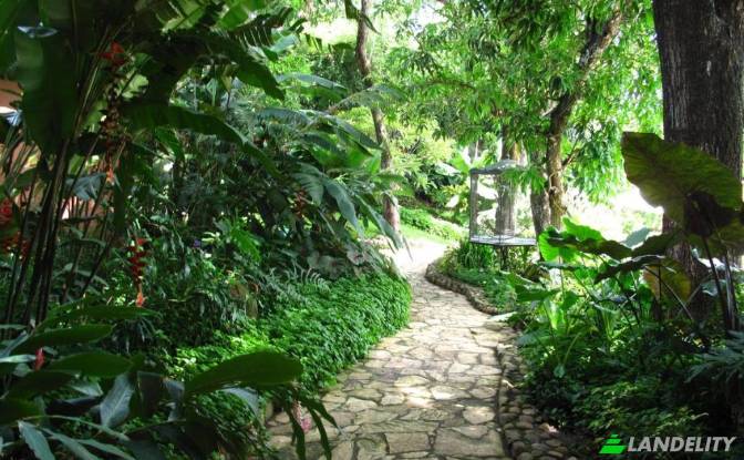 Land/Lot for Sale Calle Poniente next to Policia. Photo#15 Land/Lot for Sale Calle Poniente next to Policia. Photo#15