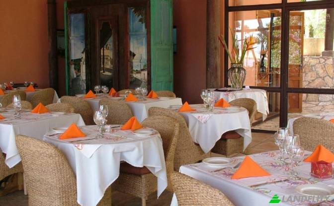 Land/Lot for Sale Calle Poniente next to Policia. Photo#3 Land/Lot for Sale Calle Poniente next to Policia. Photo#3