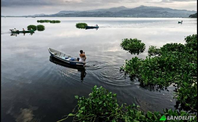 Land/Lot for Sale Calle Poniente next to Policia. Photo#9 Land/Lot for Sale Calle Poniente next to Policia. Photo#9