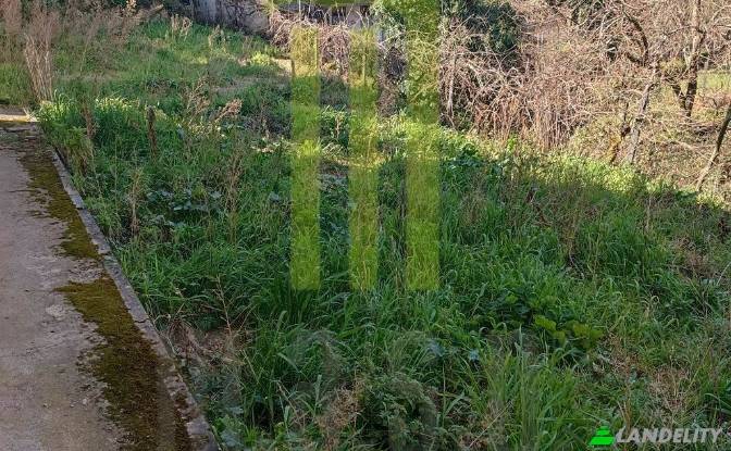 Single Family Home for Sale Dr Jose Germano. Photo#6