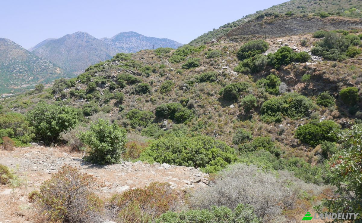 Land/Lot for Sale Geropotamos, Crete, Decentralized Administration of Crete, Greece. Photo 12