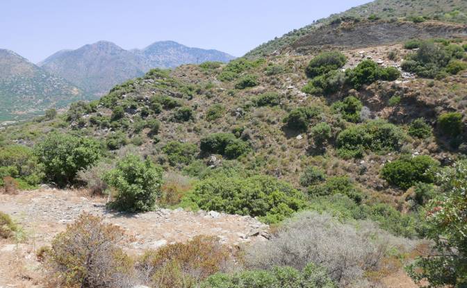 Land/Lot for Sale Geropotamos, Crete. Photo#12 Land/Lot for Sale Geropotamos, Crete. Photo#12