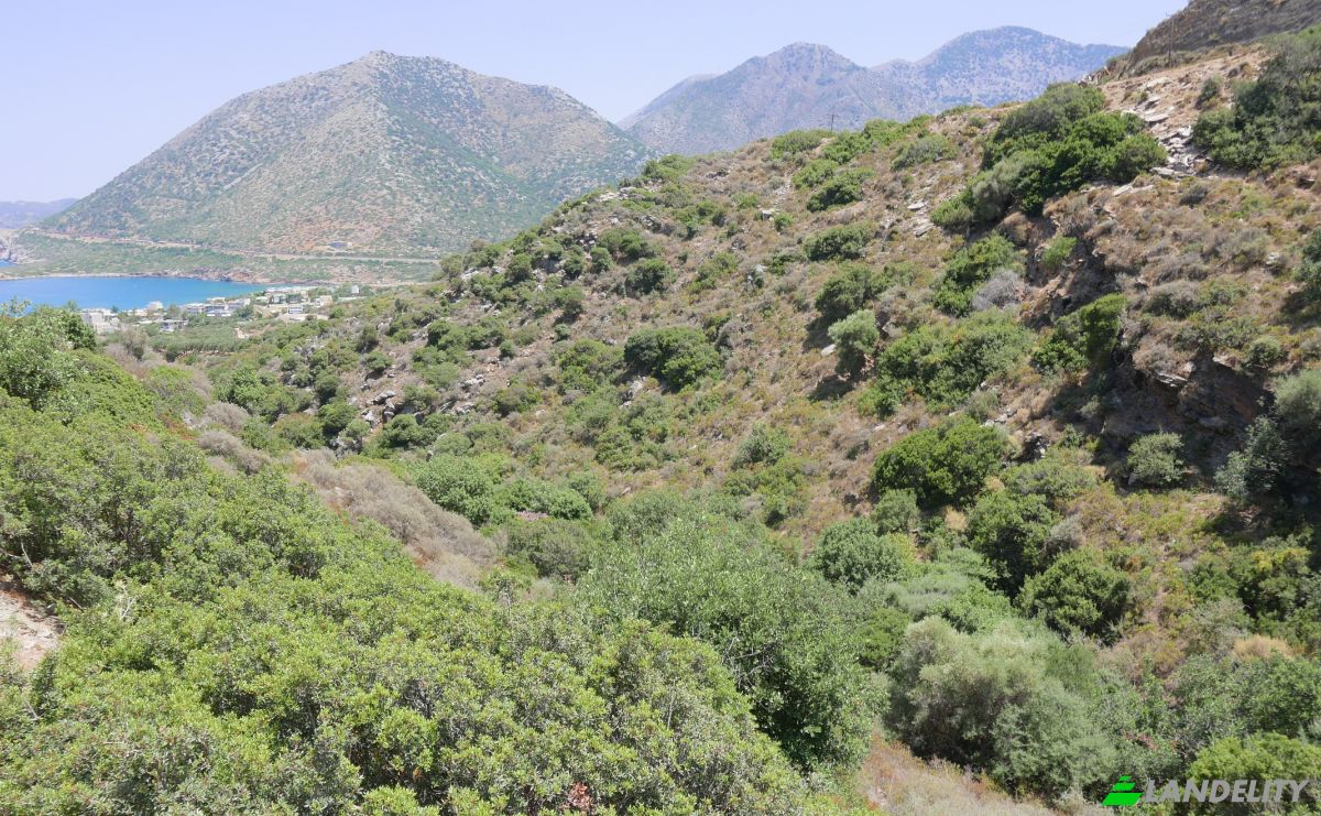 Land/Lot for Sale Geropotamos, Crete, Decentralized Administration of Crete, Greece. Photo 17