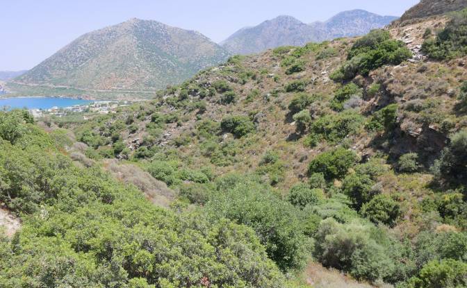 Land/Lot for Sale Geropotamos, Crete. Photo#17 Land/Lot for Sale Geropotamos, Crete. Photo#17