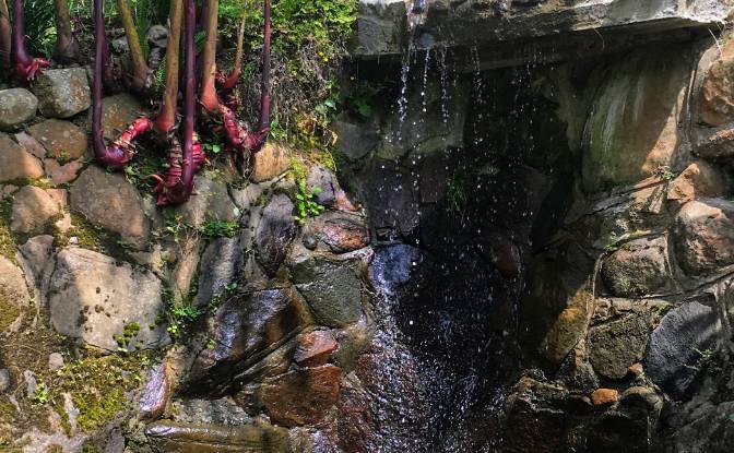 Single Family Home for Sale Dapa Clle de las. Photo#14 Single Family Home for Sale Dapa Clle de las. Photo#14