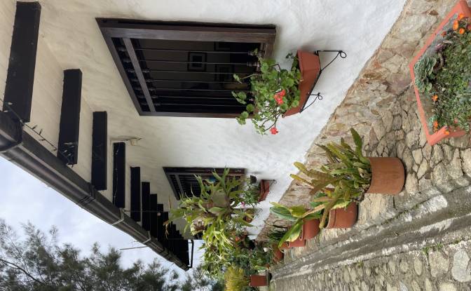 Single Family Home for Sale Dapa Clle de las. Photo#19 Single Family Home for Sale Dapa Clle de las. Photo#19