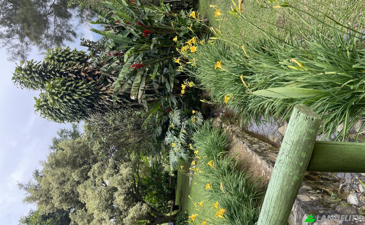 Single Family Home for Sale Dapa Clle de las antenas, Yumbo, Valle del Cauca, Colombia. Photo 22