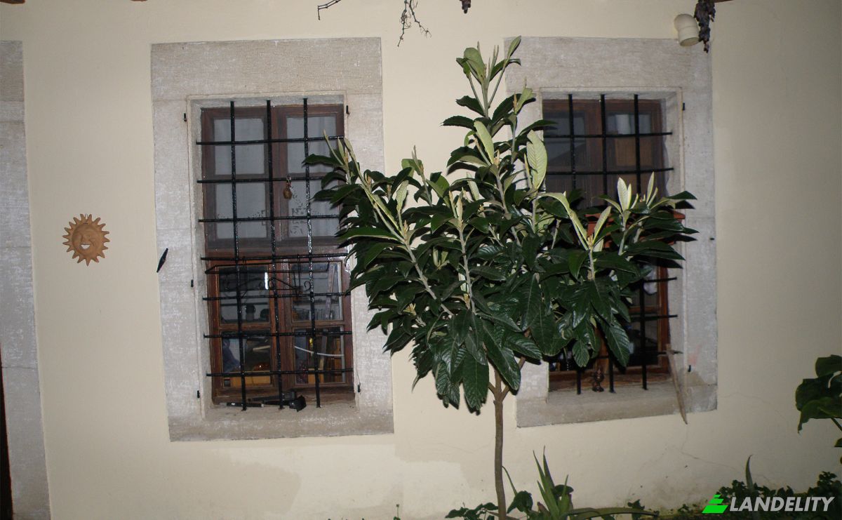 Casa unifamiliar à venda Pl El Venizelou, Epano Archanes, Archanes, Crete, Decentralized Administration of Crete, Greece. foto 3