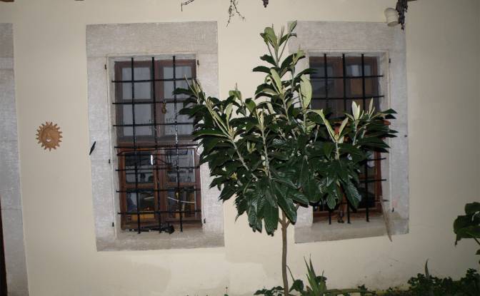 Casa unifamiliar à venda Pl El Venizelou. foto#3 Casa unifamiliar à venda Pl El Venizelou. foto#3