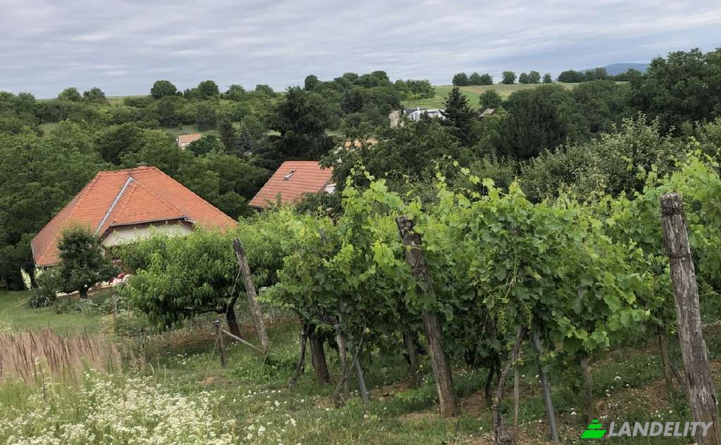 Односімейний будинок продаж Pecs, Pecs District, Baranya, Hungary, Kispostavolgyi ut. Фото 2