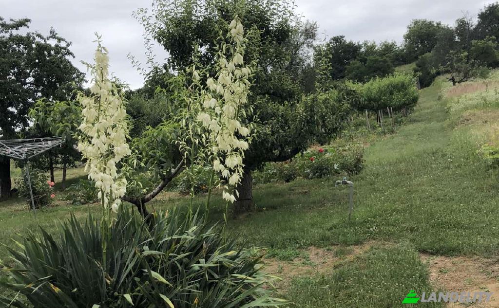 Односімейний будинок продаж Pecs, Pecs District, Baranya, Hungary, Kispostavolgyi ut. Фото 22