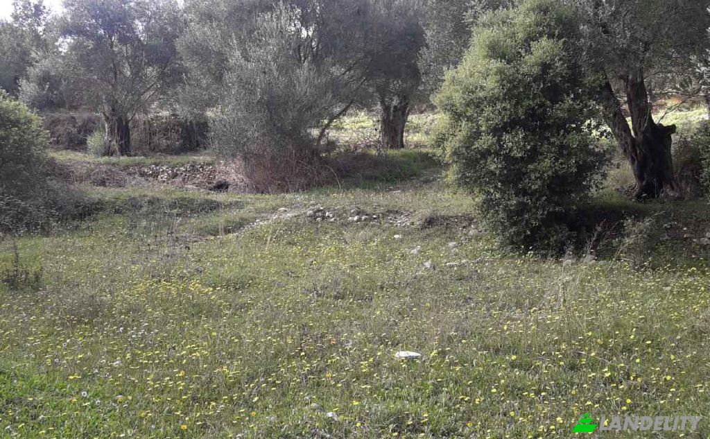 Land/Lot for Sale EparOd Agious Theodorous, Kerkira, Melitiei, Ionian Islands, Decentralized Administration of Peloponnese, Western Greece and the Ionian, Greece. Photo 2