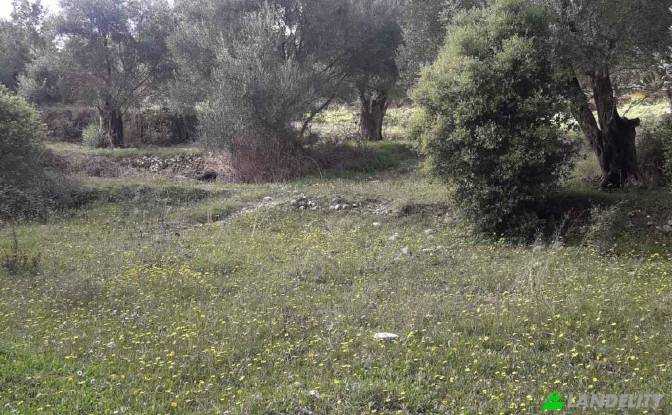 Land/Lot for Sale EparOd Agious Theodorous. Photo#2