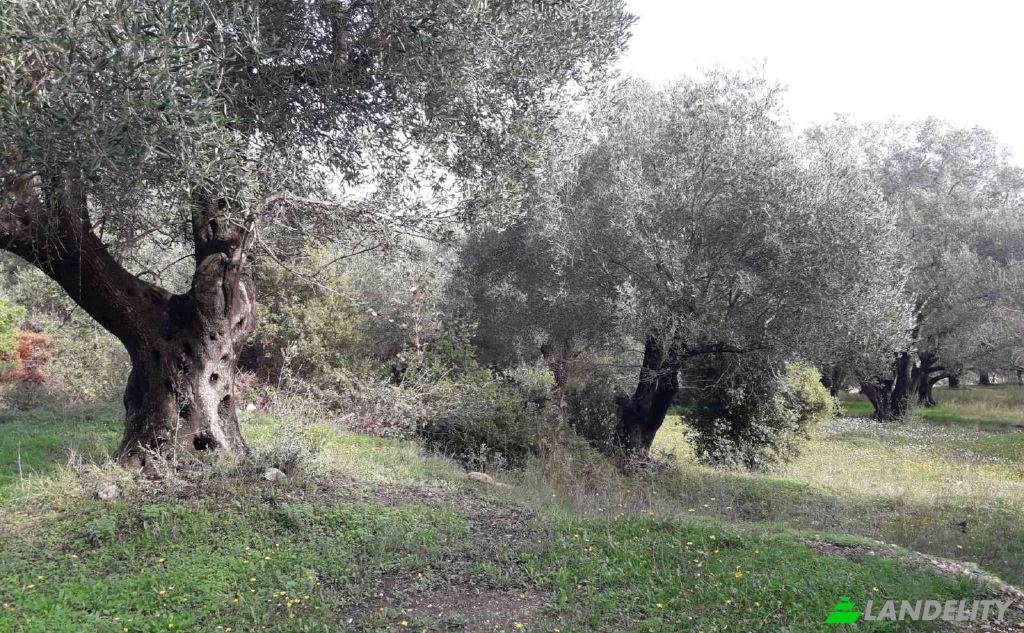 Land/Lot for Sale EparOd Agious Theodorous, Kerkira, Melitiei, Ionian Islands, Decentralized Administration of Peloponnese, Western Greece and the Ionian, Greece. Photo 3