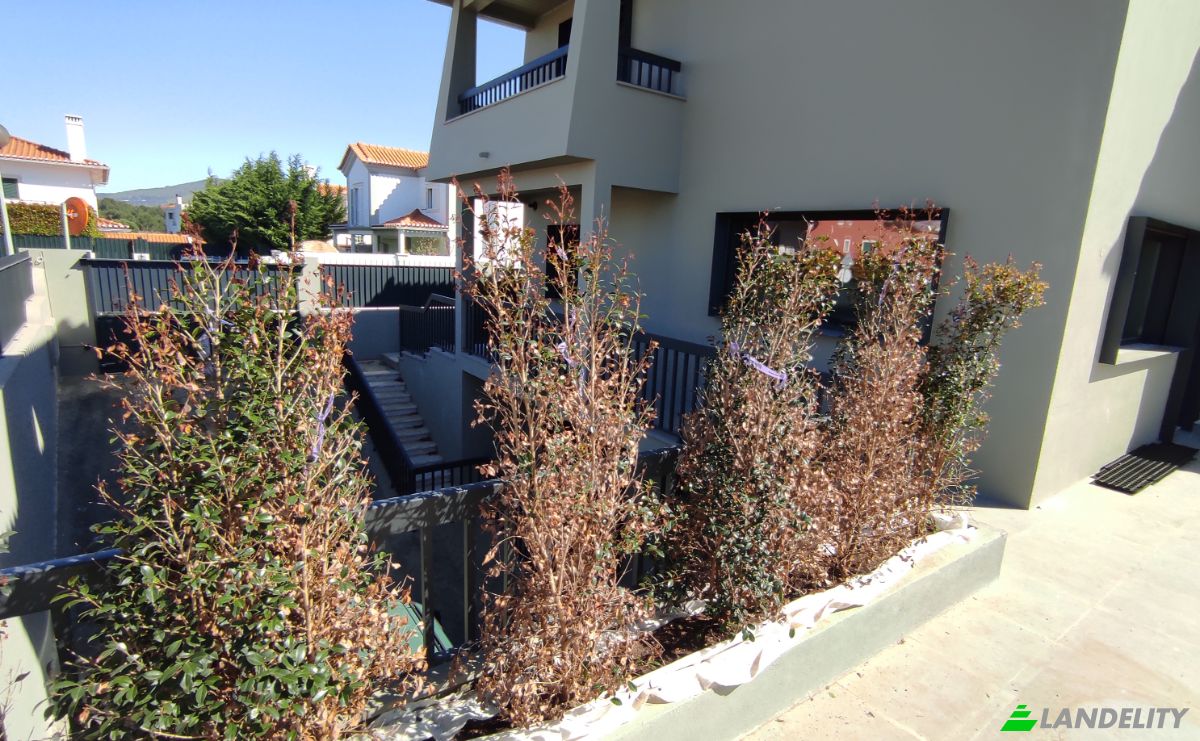 Single Family Home for Sale Amalia Rodrigues, Cascais, Lisbon, Portugal. Photo 2