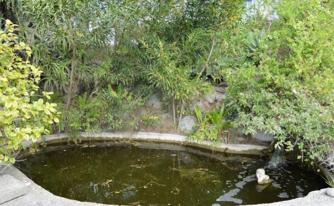 Casa de una sola familia En renta Ribatejo. Foto#2