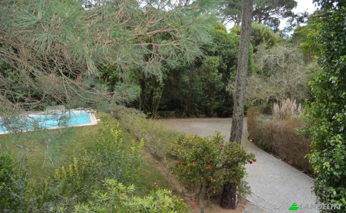 Single Family Home for Rent Ribatejo, Estoril, Cascais, Lisbon, Portugal. Photo 4