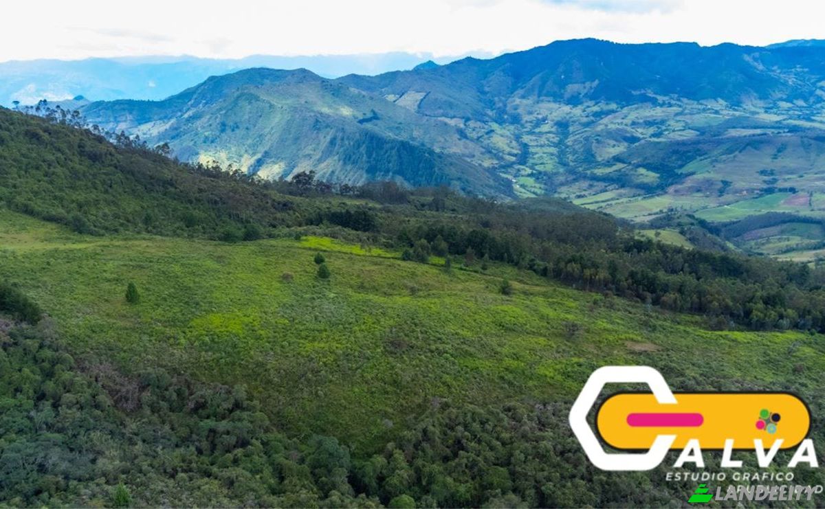 Land/Lot for Sale Via sin nombre, Potrerillos, Gonzanama, Loja, Ecuador. Photo 1