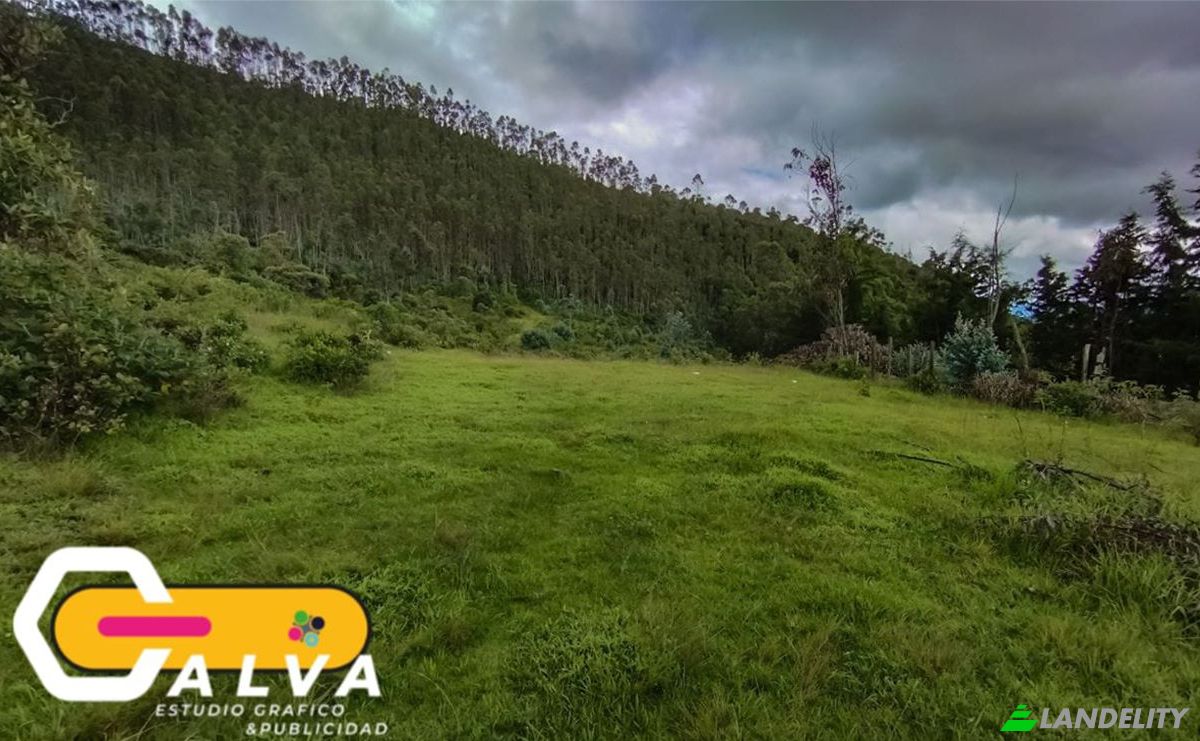 Land/Lot for Sale Via sin nombre, Potrerillos, Gonzanama, Loja, Ecuador. Photo 11