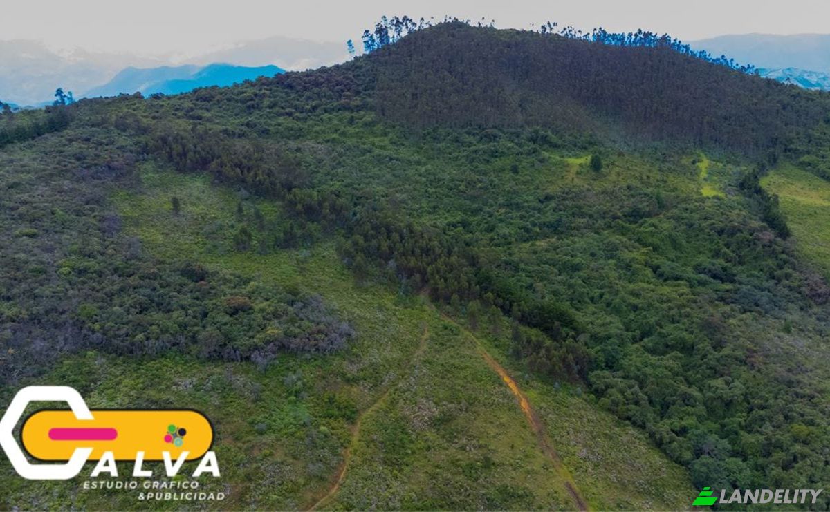 Land/Lot for Sale Via sin nombre, Potrerillos, Gonzanama, Loja, Ecuador. Photo 12