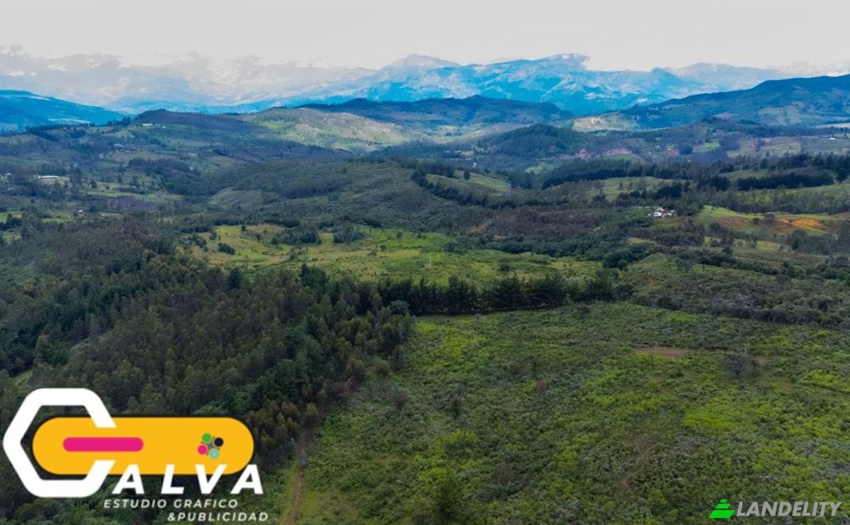 Land/Lot for Sale Via sin nombre, Potrerillos, Gonzanama, Loja, Ecuador. Photo 13