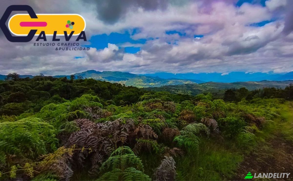 Land/Lot for Sale Via sin nombre, Potrerillos, Gonzanama, Loja, Ecuador. Photo 4