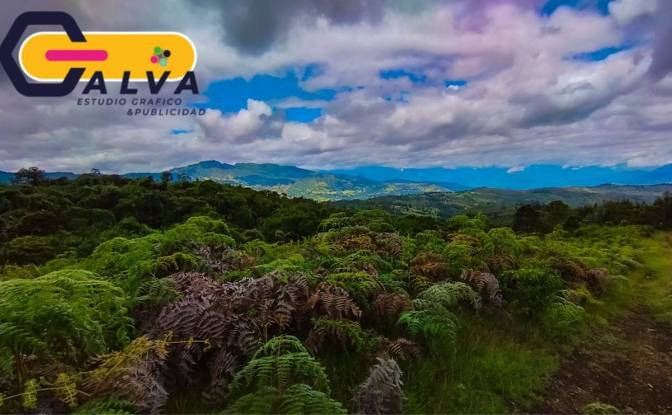 Land/Lot for Sale Via sin nombre, Potrerillos. Photo#4