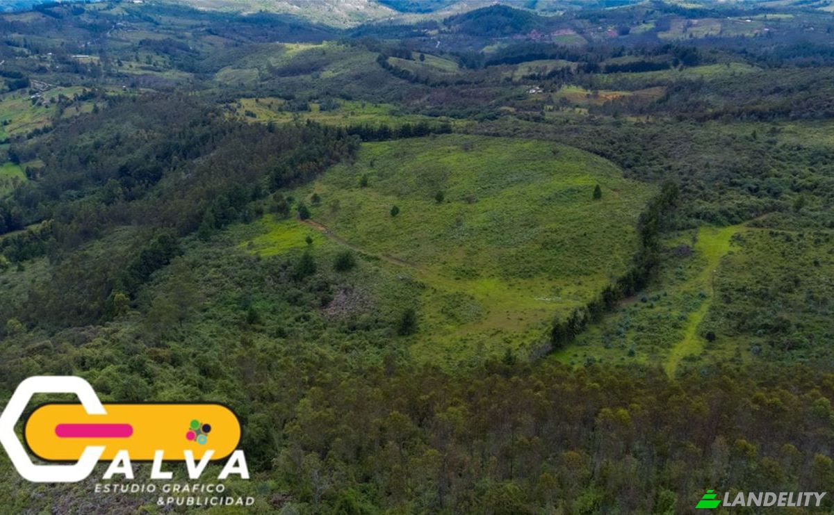 Land/Lot for Sale Via sin nombre, Potrerillos, Gonzanama, Loja, Ecuador. Photo 7