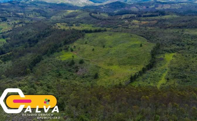 Land/Lot for Sale Via sin nombre, Potrerillos. Photo#7