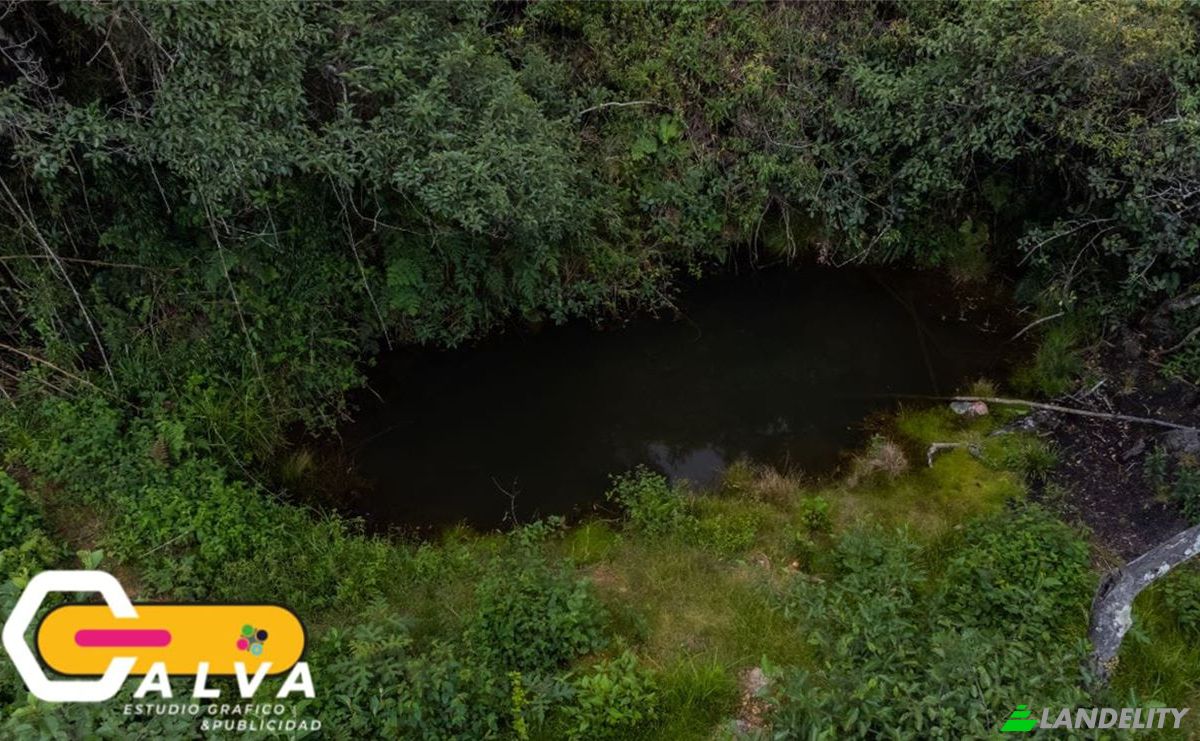 Land/Lot for Sale Via sin nombre, Potrerillos, Gonzanama, Loja, Ecuador. Photo 8