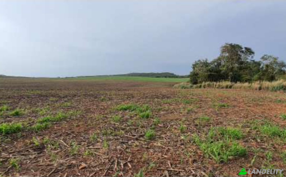 Land/Lot for Sale Alto Coite, Poxoreu, Bahia - Alto Coite, Poxoreo, State of Mato Grosso, Brazil. Photo 10