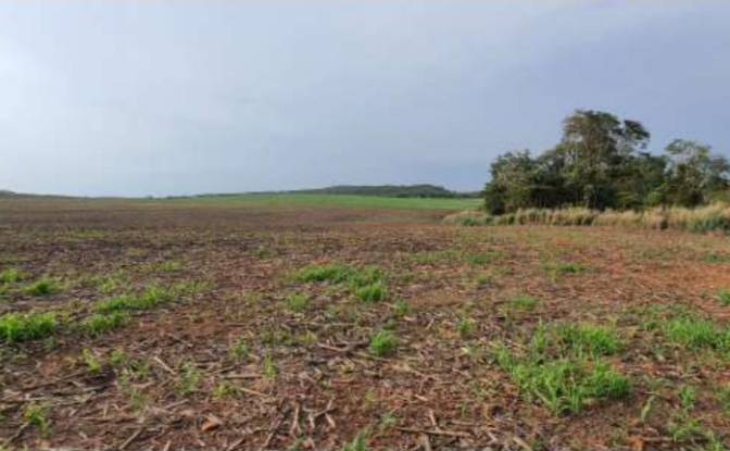 Land/Lot for Sale Alto Coite, Poxoreu. Photo#10 Land/Lot for Sale Alto Coite, Poxoreu. Photo#10