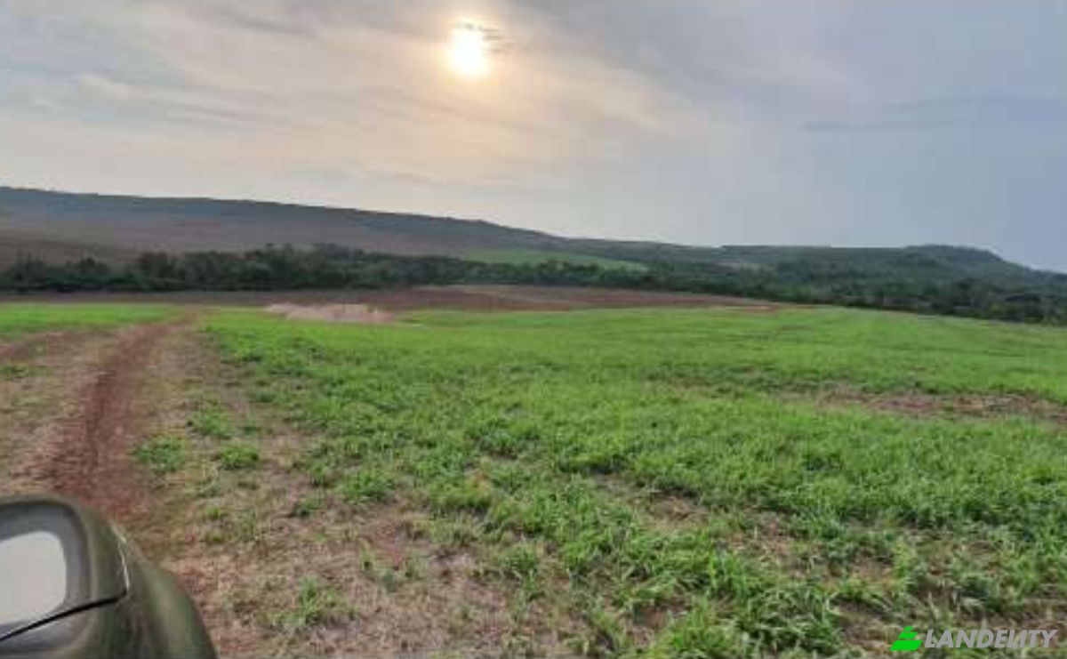 Land/Lot for Sale Alto Coite, Poxoreu, Bahia - Alto Coite, Poxoreo, State of Mato Grosso, Brazil. Photo 12