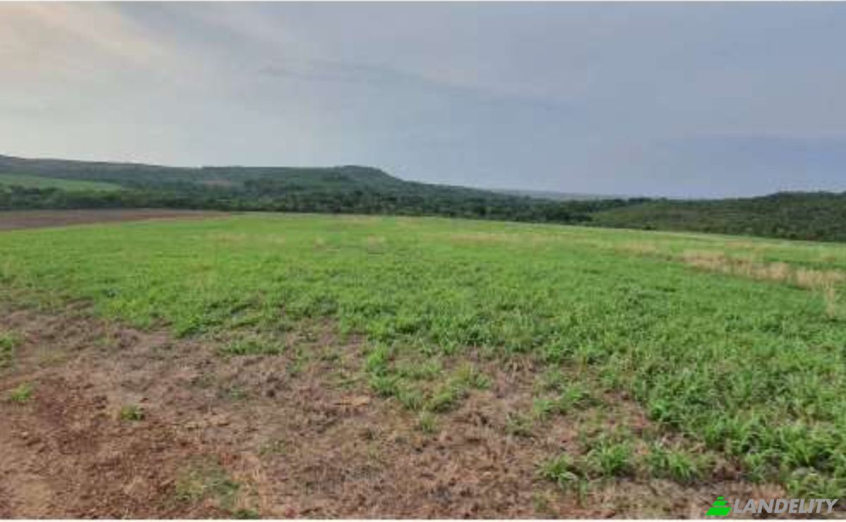 Land/Lot for Sale Alto Coite, Poxoreu, Bahia - Alto Coite, Poxoreo, State of Mato Grosso, Brazil. Photo 13