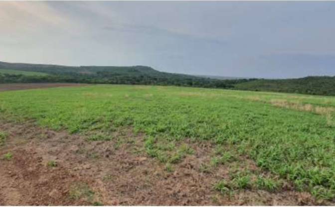 Land/Lot for Sale Alto Coite, Poxoreu. Photo#13 Land/Lot for Sale Alto Coite, Poxoreu. Photo#13