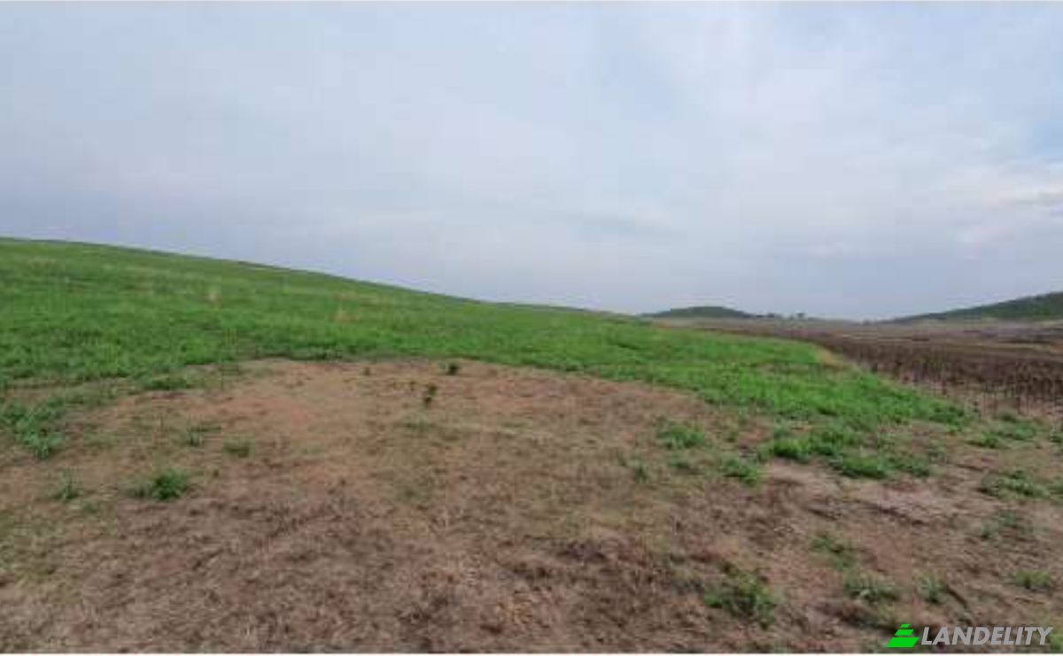 Land/Lot for Sale Alto Coite, Poxoreu, Bahia - Alto Coite, Poxoreo, State of Mato Grosso, Brazil. Photo 15